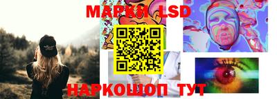 мет Кингисепп