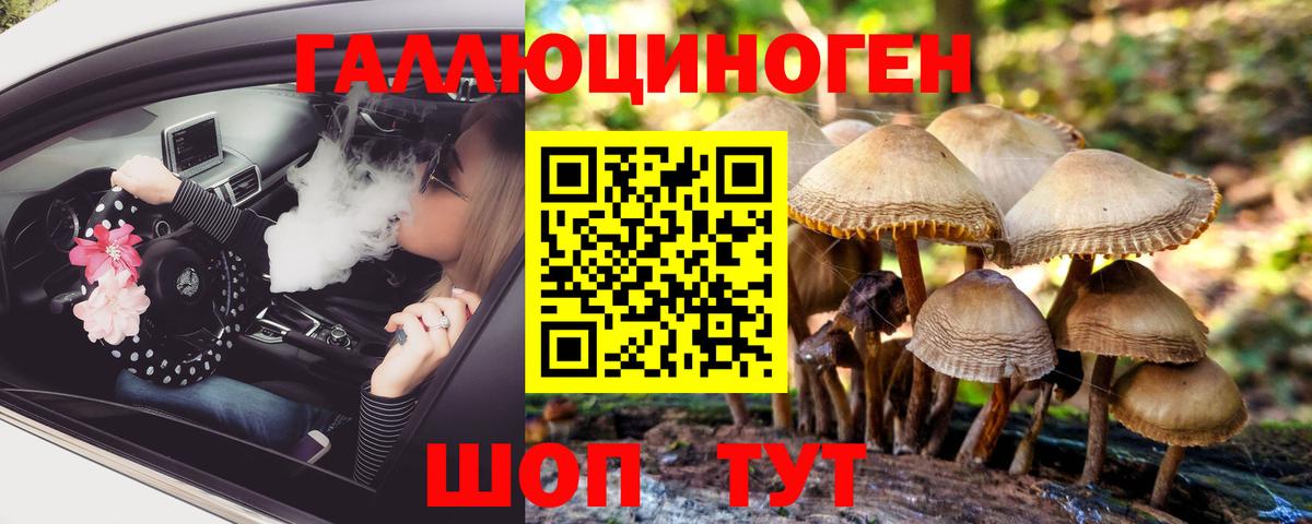Псилоцибиновые грибы мицелий Красногорск